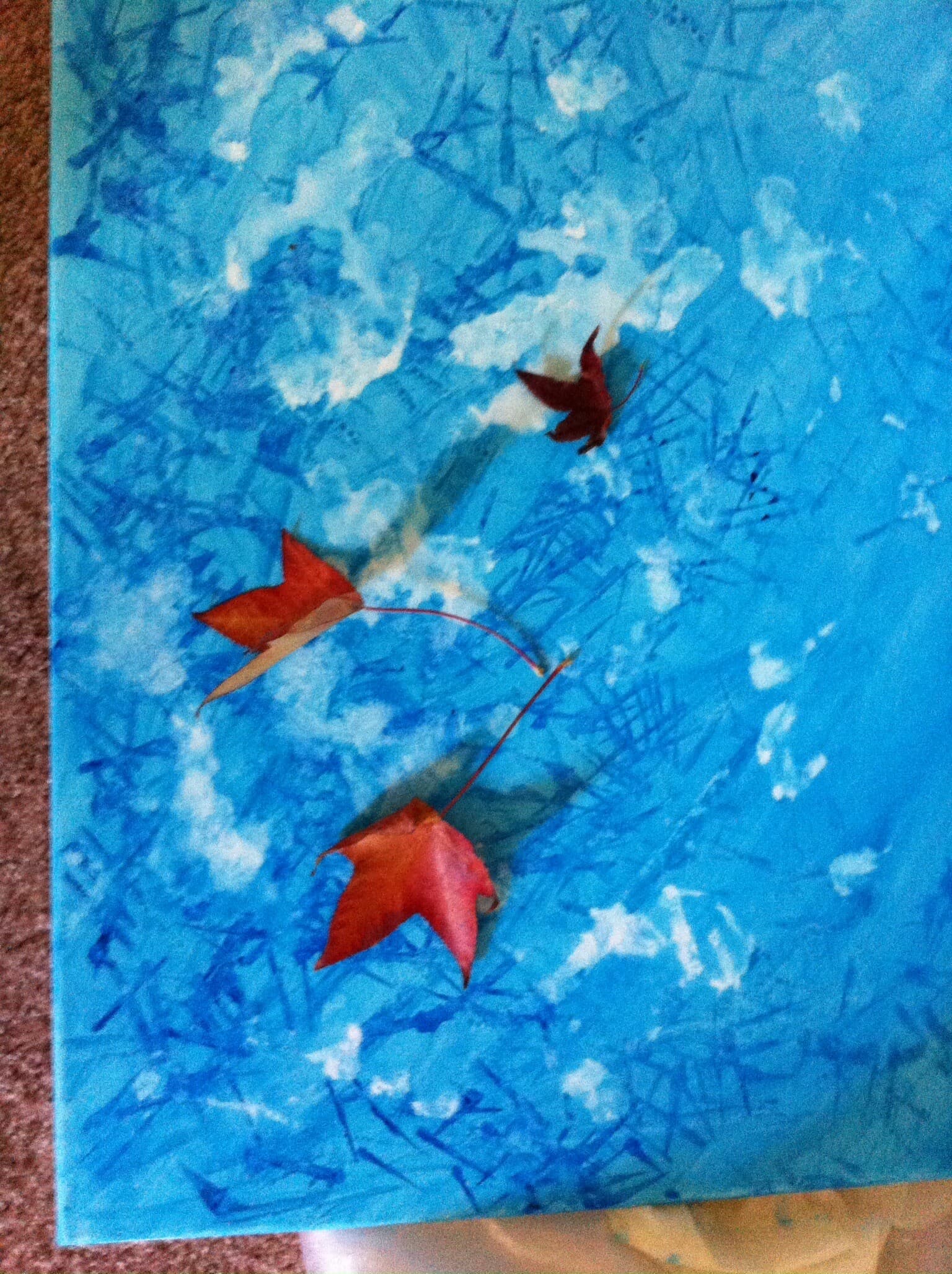 Red Maple Leaves on Blue
