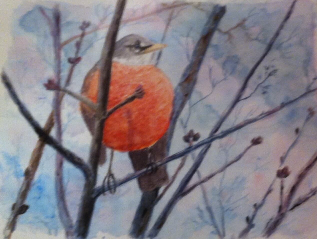 Robin on a Winter Branch